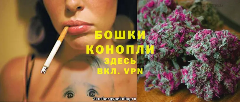 Канабис Bruce Banner  где купить наркотик  Западная Двина 